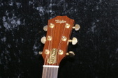 Enlarge photo 10