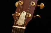 Enlarge photo 17