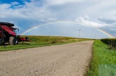 Enlarge photo 20