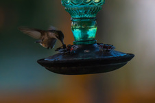 Enlarge photo 13