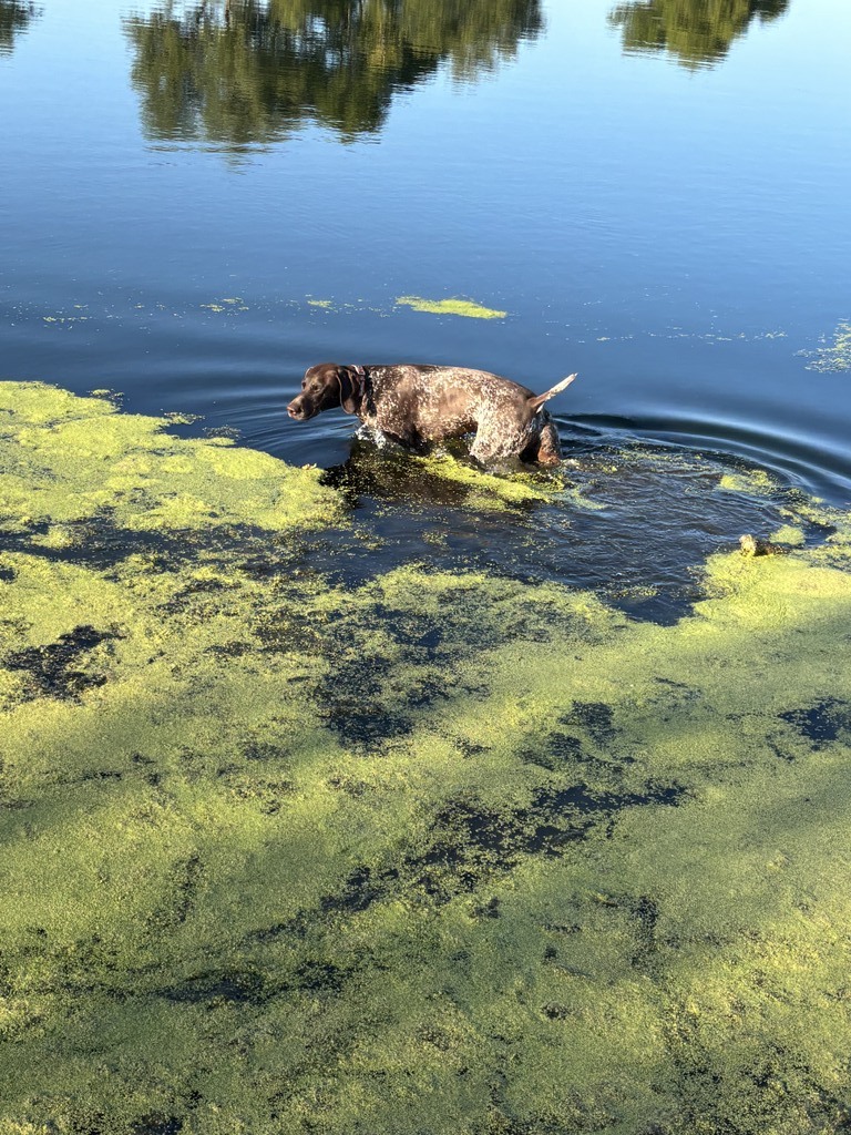 IMG_09001.jpeg