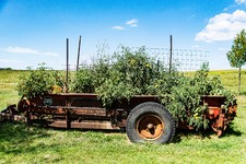 Enlarge photo 5