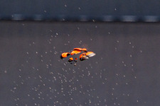 Enlarge photo 15