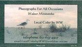 Enlarge photo 103