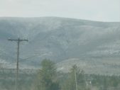 Enlarge photo 335