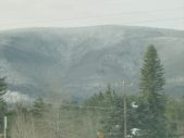 Enlarge photo 336
