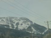 Enlarge photo 339