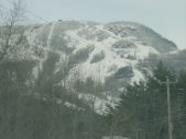 Enlarge photo 341