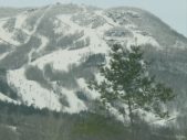 Enlarge photo 343