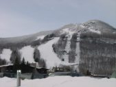 Enlarge photo 346