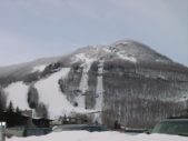 Enlarge photo 347