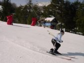 Enlarge photo 359