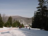 Enlarge photo 367