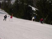 Enlarge photo 371