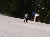 Enlarge photo 375