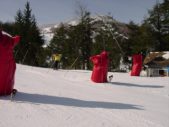 Enlarge photo 377
