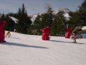 Enlarge photo 382