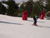Enlarge photo 386