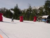 Enlarge photo 399