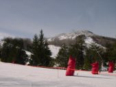 Enlarge photo 413