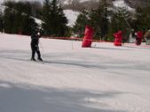 Enlarge photo 415