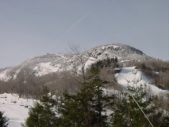 Enlarge photo 417