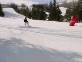 Enlarge photo 423