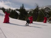 Enlarge photo 433