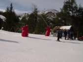 Enlarge photo 436