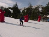 Enlarge photo 446