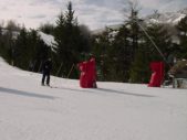 Enlarge photo 474