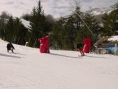 Enlarge photo 476