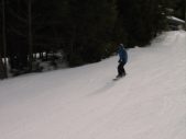 Enlarge photo 535