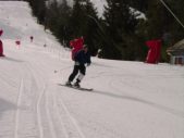 Enlarge photo 538