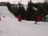 Enlarge photo 541