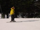 Enlarge photo 554