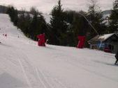 Enlarge photo 562