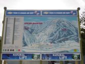 Enlarge photo 597