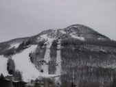 Enlarge photo 620