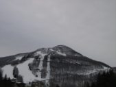 Enlarge photo 621