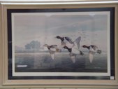 Enlarge photo 116