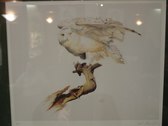 Enlarge photo 176