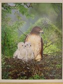 Enlarge photo 180
