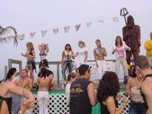 Enlarge photo 67