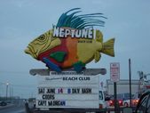 NEPTUNES 2003