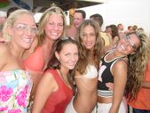 Enlarge photo 172