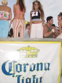 Enlarge photo 196