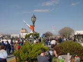 Enlarge photo 164