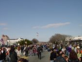 Enlarge photo 230