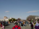 Enlarge photo 231